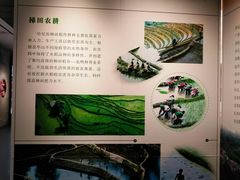 -南越王博物院(王宫展区)