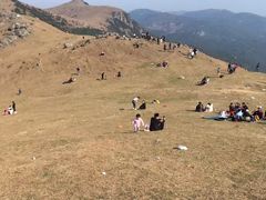 -大姆山草场