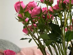 -花未央花店·WEYOUNG