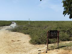 -北海金海湾红树林生态旅游区