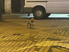 -中影国际影城(兰生大厦店)