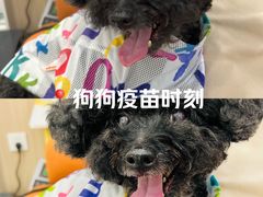-申普宠物医院·眼科·心内科·影像科(普陀分院)