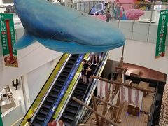 -凯德广场(学府店)