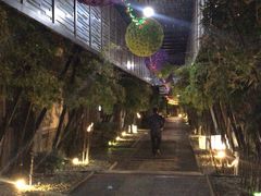 -大理N度酒店