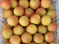 -山里屯铁锅炖·东北菜(康桥店)
