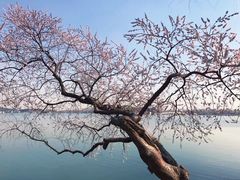 -颐和园