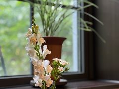 -鮨匠·割烹料理(巨鹿花园店)