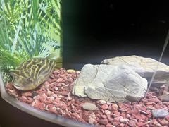 -上海海洋水族馆