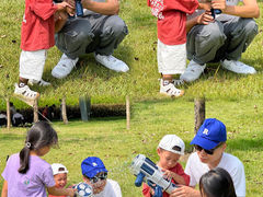 -王借岗森林公园