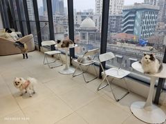 -怪兽屋·羊驼·猫咖·狗咖(俊华广场店)