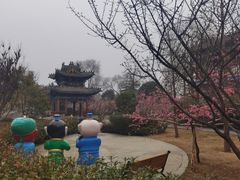 -关林