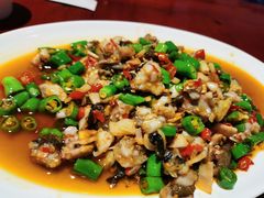 -蜀江春(总店桃花山分店)