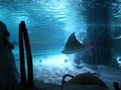 -沈阳海洋探索中心