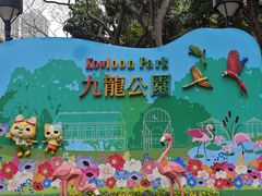 -九龙公园