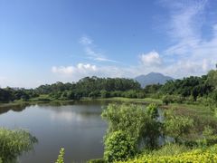 -福建鲤鱼洲酒店