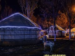 -九十九顶毡房(阜石路店)