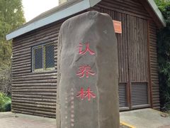 -黄兴公园