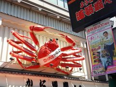 -蟹道乐(道顿堀本店)