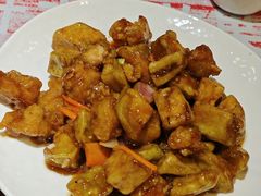 -七菜馆·东北菜·蒸饺(文体路店)