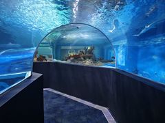 -成都浩海立方海洋公园