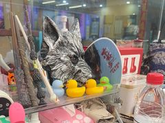 -谜盒子奇幻密室(南屏店)
