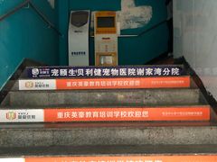 -宠颐生贝利健动物医院(谢家湾分院)