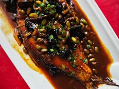 -明珠湖天鹅苑·农家菜馆