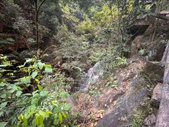 -鼎湖山风景区