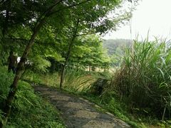 -千岛湖龙川湾