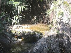 -牛鱼嘴原始生态风景区