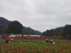 -广州市石门国家森林公园