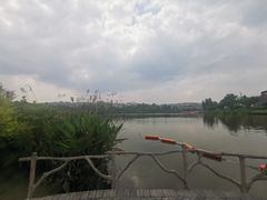 -枫香湖儿童公园