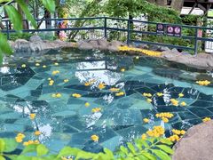 -湖泉半山温泉(湖泉生态园)