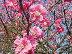 -天鹅湖体育公园