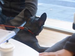 -Legno.ita Coffee by Wood(襄阳南路店)