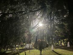 -龙头寺公园