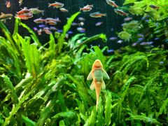 -上海海洋水族馆