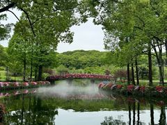 -苏州上方山国家森林公园