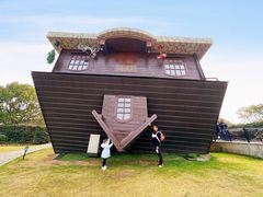 -金山农民画村-枫泾波兰倒置屋