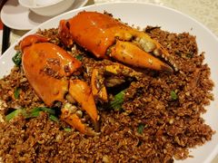 喜记正宗炒辣蟹-喜记避风塘炒辣蟹(旗舰店)