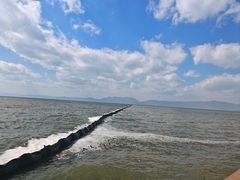 -呈贡滇池生态湿地公园