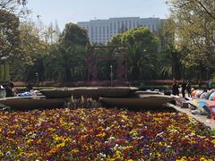 -人民公园-相亲角