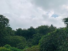 -雨花胜境