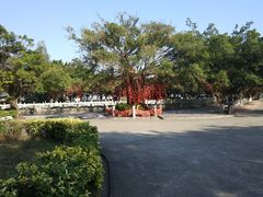 -南沙天后宫景区