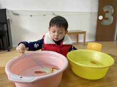 -四叶草托育园(张江园店)