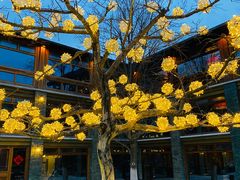 -那家山城(樱桃园店)