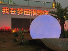 -野狸岛