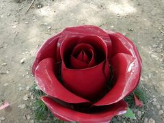 -昆山城市生态森林公园