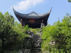 -朱家角课植园