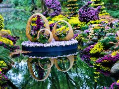 -上海共青森林公园